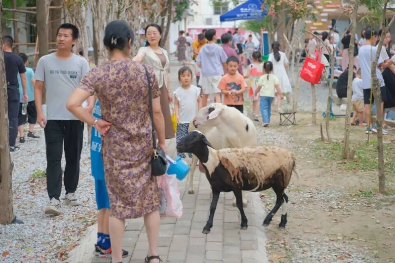 黄冈市区“文化艺术教育夜市”公益志愿服务项目开展日间彩排