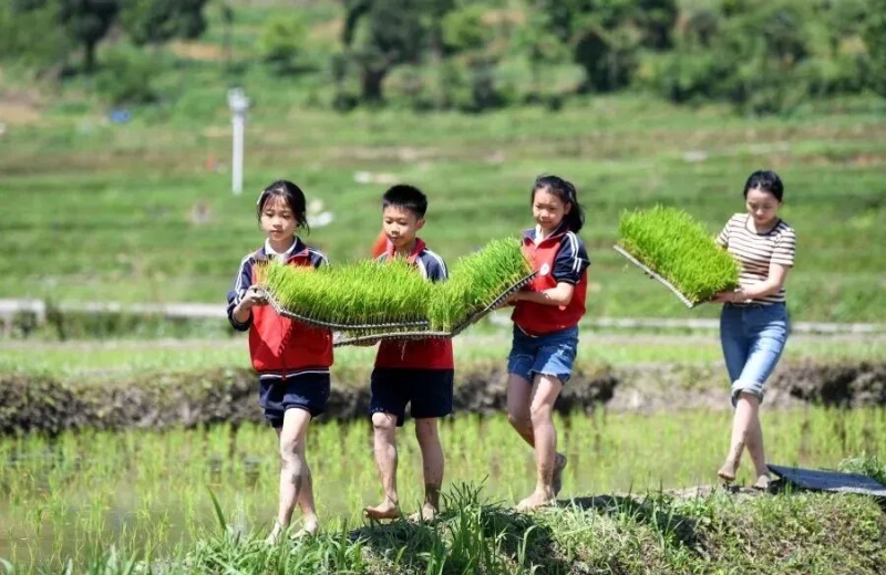五一到了，跟着小象下乡摸鱼吧