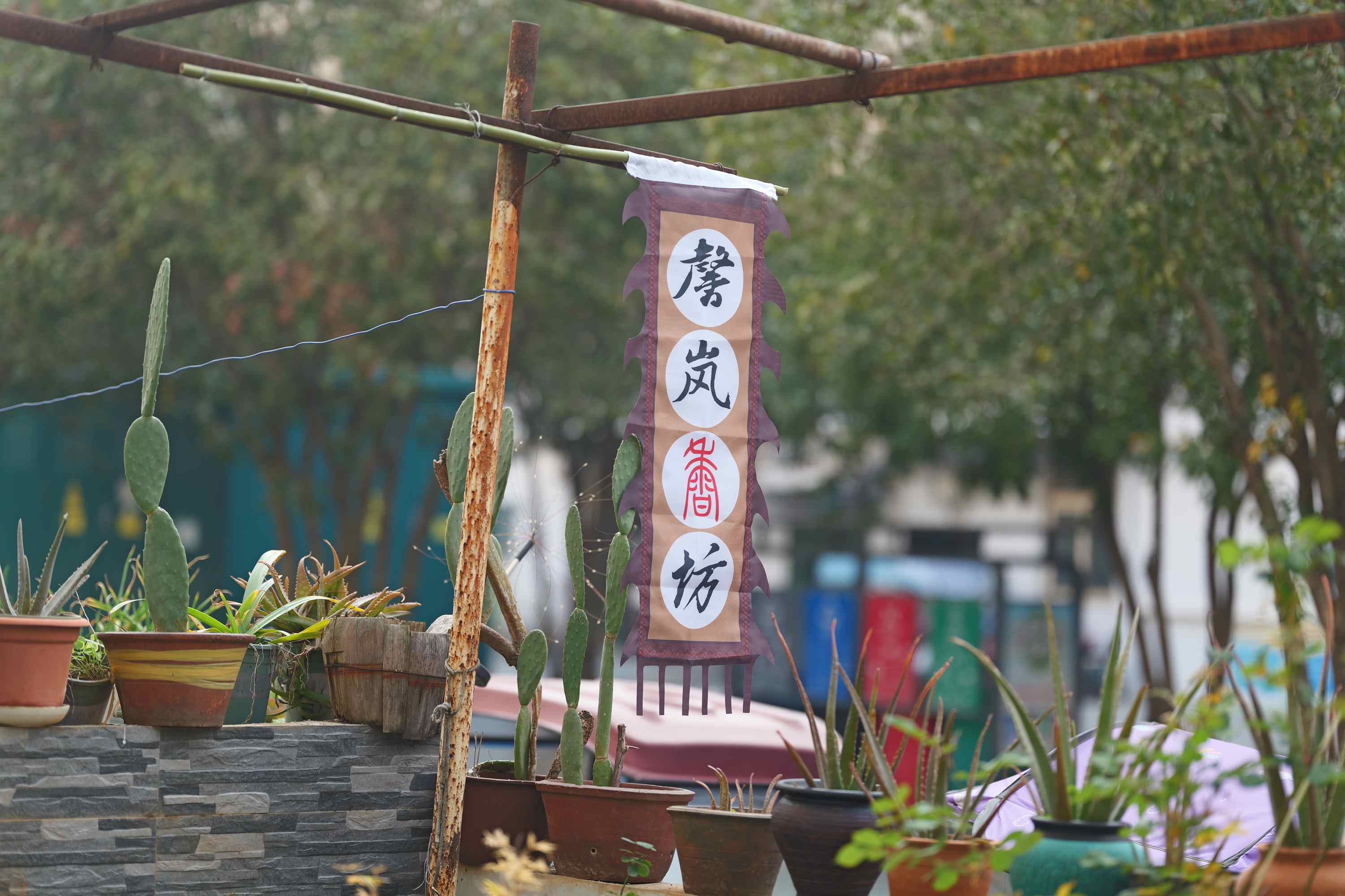 小区香从何处来？