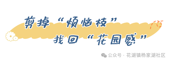 才俩月,鄂州这个小区咋突然“亮堂”了?